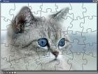 PUZZLE-CD mit über 100 Motiven zu VERSCHENKEN