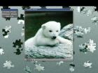 PUZZLE-CD mit über 100 Motiven zu VERSCHENKEN !!!