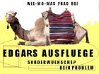 Ausflugsprogramm für Hurghada – El Gouna – Makadi Bay . .
