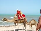 Tunesien 14 Tage ab 303 €