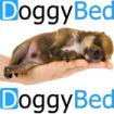 Hundebetten für grosse Hunde
