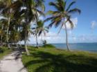 Dom.Rep. DZ/AI,Flug ab 279€