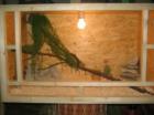 Holzterrarium 100x50x50  60 €