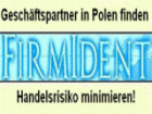 Geschäftspartner in Polen