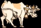 Colostrum Power