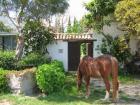 Reiten Wandern Radeln in Andalusien