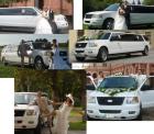 Limousinein, Stretchlimousine in Freiburg, Baden Württemberg