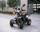 QUAD 50 cc-Strassenzul.komplett aufgebaut NUR NOCH BIS 15.11.08