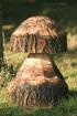 Holz Pilz Skulptur massive Handarbeit ca.30cm hoch