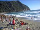 Insel ischia last minute angebote 