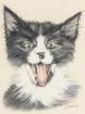 Geschenkgutscheine für Tierportraits