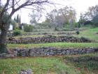 Romantisches Grundstück in Südfrankreich (Olivenhein und kleiner Bach)