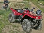 Vermietung Qaud & ATV