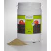 Acerola, das natürliche Vitamin C mit Langzeitwirkung