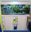 MP Komplett Aquarium 240 Litter   Unterschrank