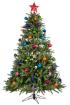 Christbaum zum Hammerpreis  