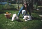 Nichtr.-Familie sucht dringend 4 Zim-Wohng./Haus m. Garten in Cuxhaven z. 01.03.