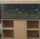 Juwel Aquarium 250l