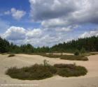 Geotouren   geologische Besonderheiten im Amberg-Sulzbacher Land entdecken