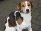 Suche ein neues Zuhause