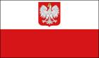 POLNISCH  ÜBERSETZER/DOLMETSCHER professionell und zuverlässig