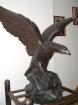 Großraum Dekoration ADLER auf Fels