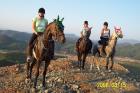 Reiten in Marmaris
