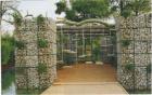 Cg24.ch // Garten und Landschaftbau, Leasinggartenbau, Corporiate Identity Gärte