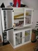 3 Rattenweibchen (evtl. mit Riesenschrank)