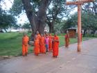 Sommer in Sri Lanka ab Oktober2021/10 guenstigsten Lastminute   Pauschalreise 