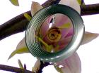 Absolut Natur - Das Mücken-Disc-Windspiel