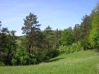 Wander- und Radwege durch das Amberg Sulzbacher Land