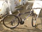 (213) 21 Gang 26 Zoll Rh 40 sehr leicht