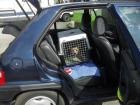 Citroen C2 AUTOMATIC gesucht