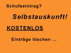 Schufaauskunft Kredit