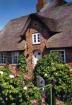 Nordseeurlaub im reetgedeckten Friesenhaus mit Sauna