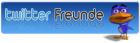 Würdest Du gerne einige 1000 neue Twitter Freunde haben wollen 