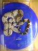 1.1 Boa C. Constrictor Surinam/Pokigron