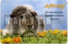 MEERSCHWEINCHEN Metall Warnschild