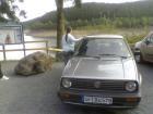 Suche Winterreifen für Golf 2