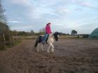 Rappscheck-Pony (46562 Voerde) zu verkaufen