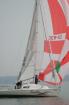 Segelyacht Carrera 290 8,90 x 2,95 BJ 1993 super gepflegt