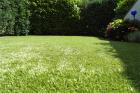 Kunstrasen: Garten, Terrasse, Balkon, Messe.