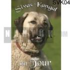 Sivas Kangal Fanartikel