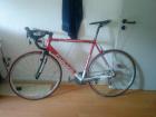 Focus Rennrad