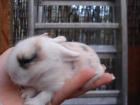 Die Baby´s sind da........