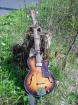 EGMOND Hollow Body-Bass
