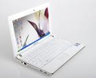 Samsung NC10-anyNet N270 - Netbook OHNE VERTRAG NUR 99 EURO