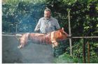 Highlight Ihrer Feier Schwein am Spieß oder gebackenes Spanferkel 