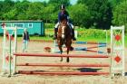 Biete Reitbeteiligung auf Sportpony in stade/21682 